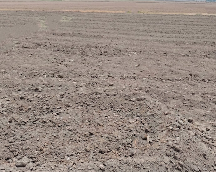 Drip Irrigation