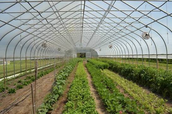 Green House Tunnels
