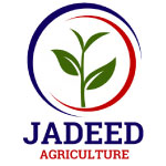 Jadeed